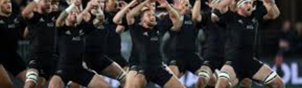 Les instances néo-zélandaises du rugby malmenées par un non-lieu controversé