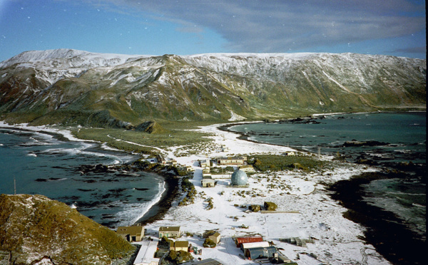 Canberra renonce à rendre l'Île Macquarie à sa solitude australe