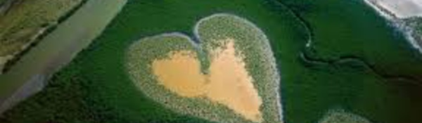 Mission scientifique en Nouvelle-Calédonie pour un inventaire de la biodiversité