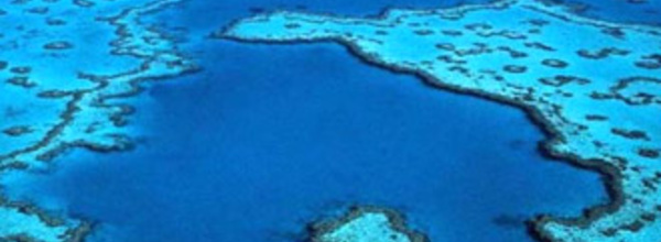 La Grande barrière menacée par la pollution, selon un rapport officiel australien