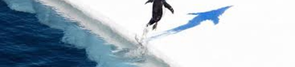 Le plus grand sanctuaire marin au monde verra le jour en Antarctique