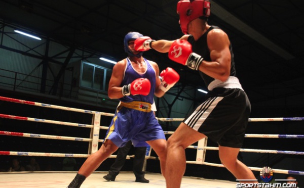 Boxe « Chpt novices » : Des demies finales expéditives