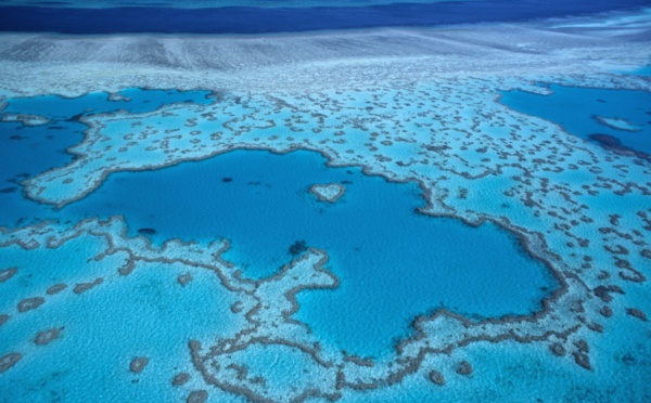 La N-Calédonie s'organise pour gérer l'immense parc naturel de la mer de corail
