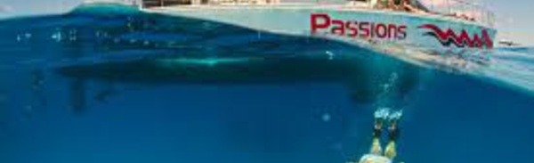 Australie: deux Français meurent lors d'une plongée sur la Grande Barrière