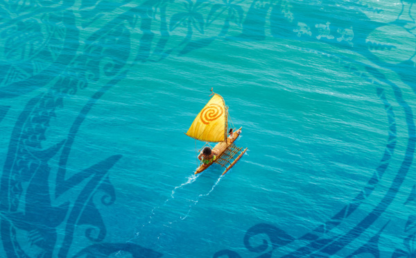 Vaiana arrive sur les écrans, les cinémas marquent le coup