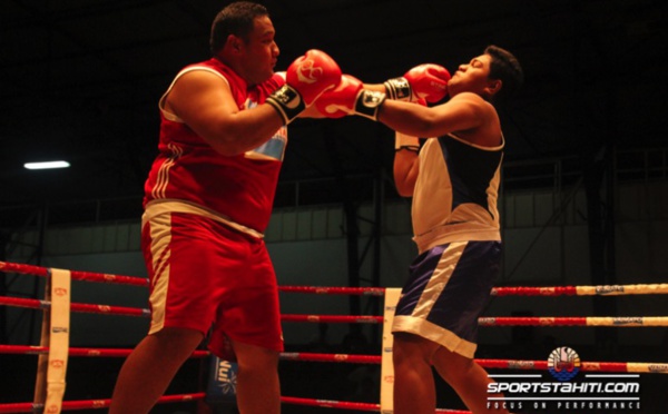 Boxe « Demies Finales – Open » : Les champions Novices n’ont pas tenu la distance