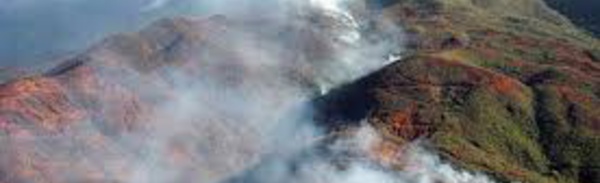 Nouvelle-Calédonie: les incendies menacent la ressource en eau (WWF)