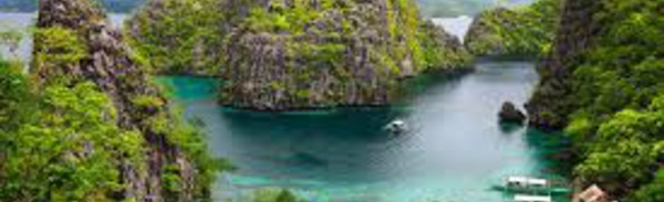 Philippines: un projet de parc à thème sous-marin inquiète les ONG