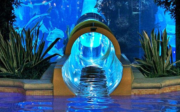 Philippines: Dora ne sera pas autorisée à explorer des fonds paradisiaques