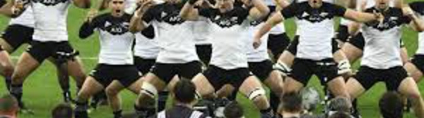 Tournée d'automne: All Blacks, Springboks et Japon pour les Bleus