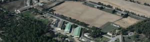 Enquête sur des cas de maltraitance d'animaux dans une "prison ouverte" corse