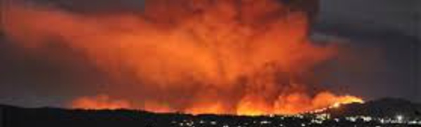 Incendies : le Chili déclare l'état de catastrophe naturelle