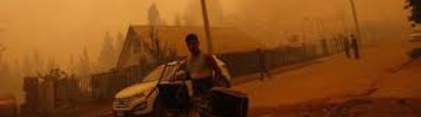 Le Chili ravagé par les feux de forêt