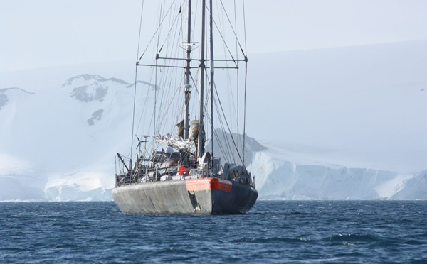 Pacifique: la goélette Tara constate une forte détérioration des récifs coralliens