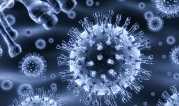 11.400 décès en excès, toutes causes confondues, sur les six premières semaines d'épidémie de grippe