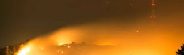 Nouvelle-Zélande: un feu de forêt provoque un millier d'évacuations