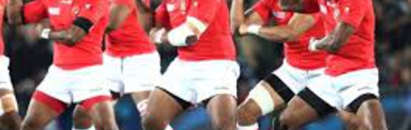 Les Tonga n'accueilleront pas le pays de Galles, match déplacé