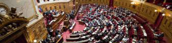 Sénat: création d'une mission d'information sur l'avenir des médias