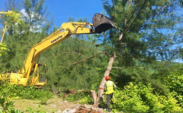 Réduction d’obstacles végétaux aux abords de l’aérodrome de Moorea