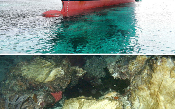 Récifs endommagés: l'Indonésie convoque l'ambassadeur britannique