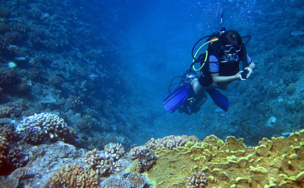 Australie: le cyclone aggrave l'inquiétude pour la Grande barrière de corail