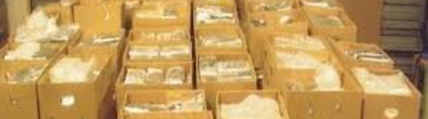 Belgique: 1,25 tonne de cocaïne repêchée en mer