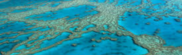 Les hydrocarbures, sujet sensible du parc de la mer de Corail en Nouvelle-Calédonie