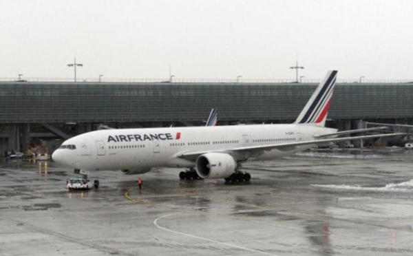 Transport aérien: "16.000 emplois menacés" selon les professionnels