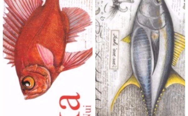 "Ika Rapa Nui" : le livre des poissons de l’île de Pâques