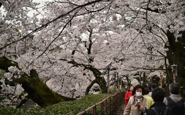 Air France propose Papeete-Paris via Tokyo