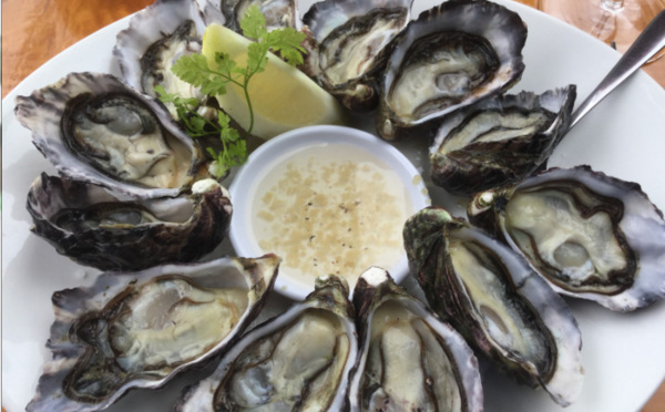 Carnet de voyage - Nouvelle-Zélande : balade dans le Northland gourmand