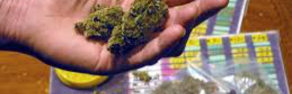 Les contraventions pour usage de cannabis instaurées d'ici la fin de l'année