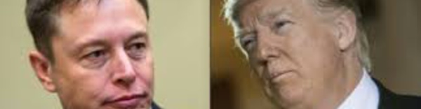Climat: Musk et le PDG de Disney cessent de conseiller Trump