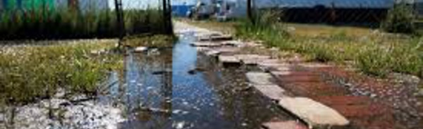 Près des côtes américaines, l'île de Tangier disparaît sous les eaux