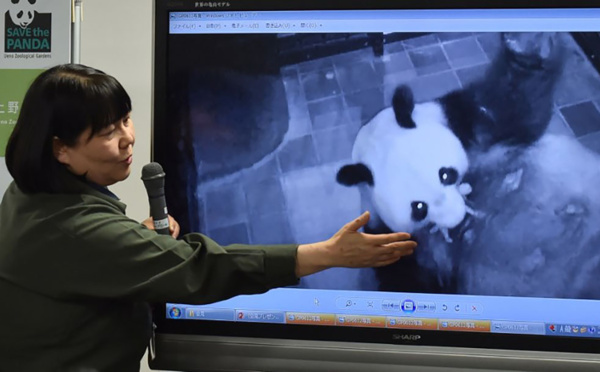Le bébé panda né lundi au Japon se porte bien