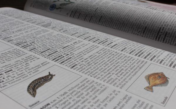 Page enfant : 150 nouveaux mots dans les dicos !