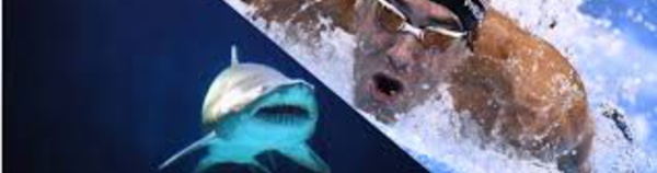 Michael Phelps va nager contre un requin