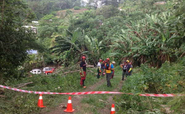 Les agents communaux de Mahina se forment au bûcheronnage
