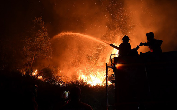 Feux de forêt au Portugal: 61.600 hectares partis en fumée