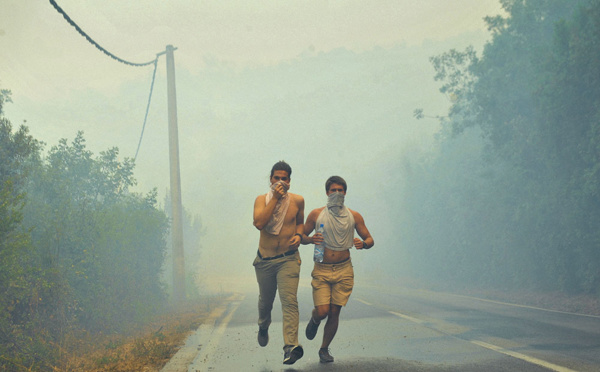 Violents incendies de forêt dans le sud de l'Europe