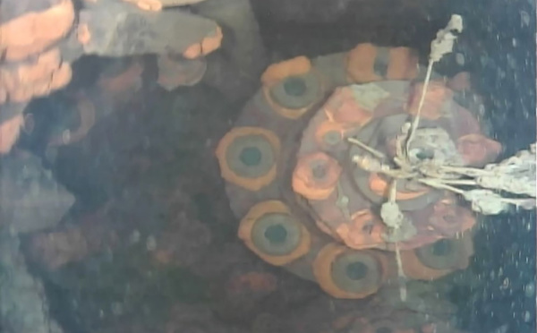 Fukushima : un robot parvient à inspecter l'enceinte d'un réacteur saccagé