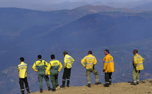 Après une courte accalmie, les feux de forêt reprennent au Portugal