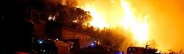 Incendies: près de 4.000 hectares de forêts détruits, l'Europe sollicitée