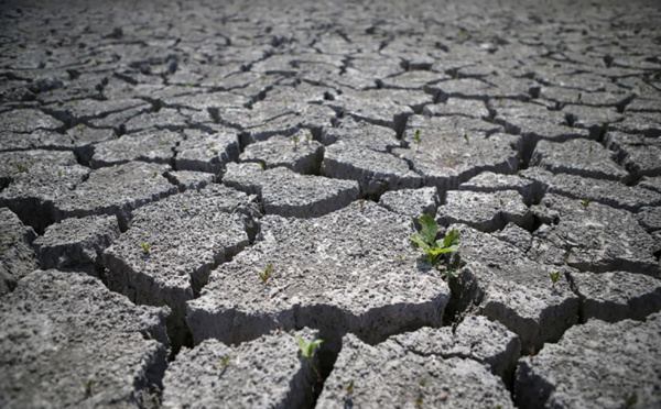 30,5°C en Corse, record de température nocturne pour la France métropolitaine