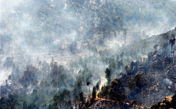 Corse: l'incendie de Calenzana maîtrisé, celui de Palneca "ne progresse plus"