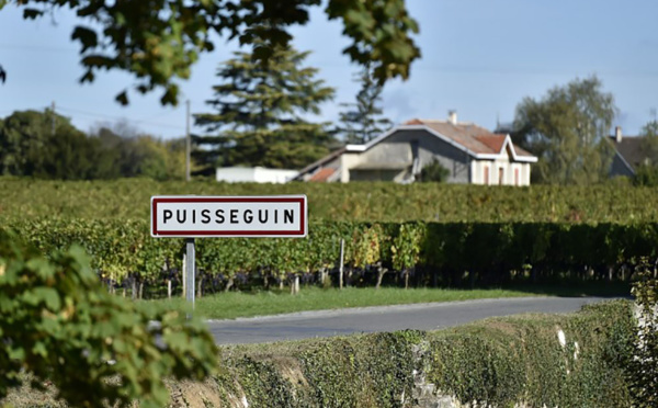 Après Puisseguin, des experts recommandent de durcir les normes des véhicules