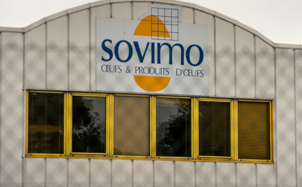 Des oeufs contaminés au fipronil ont été "mis sur le marché" en France