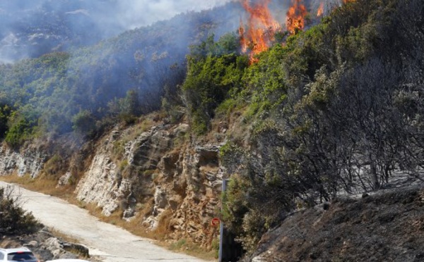 Incendies en Haute-Corse: des feux contenus après avoir parcouru environ 2.000 hectares