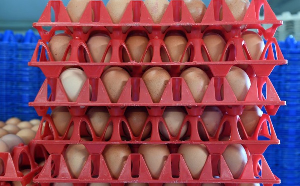 Des oeufs contaminés en Asie, l'UE convoque les pays touchés