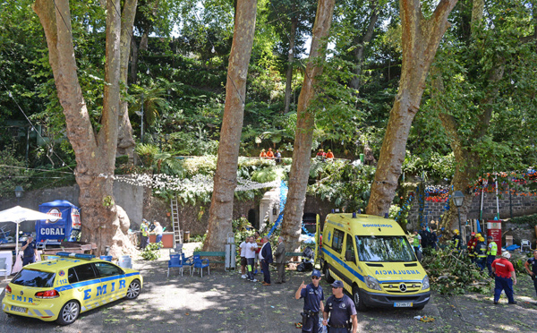 Portugal: la chute d'un arbre fait une dizaine de morts à Madère